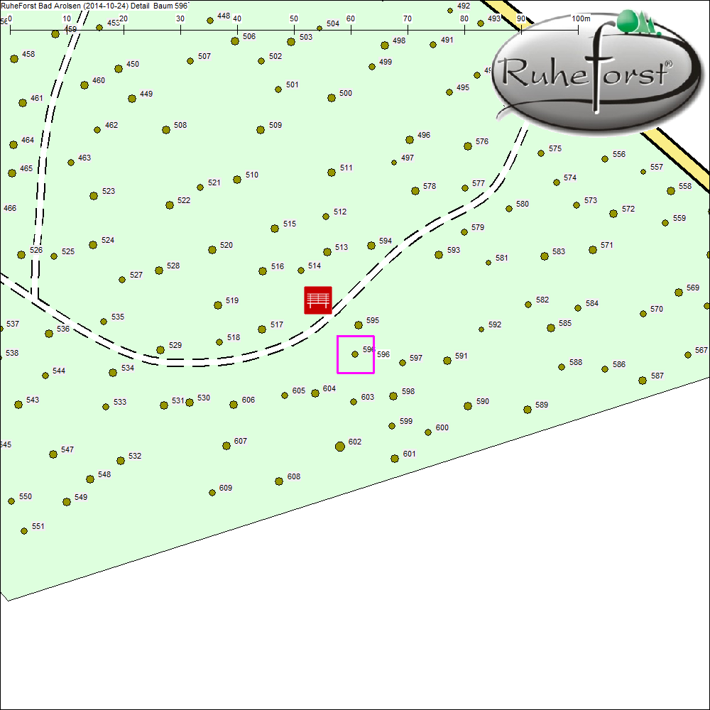 Detailkarte zu Baum 596