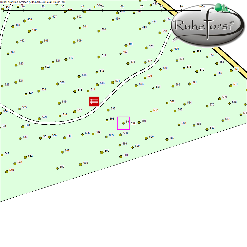 Detailkarte zu Baum 597