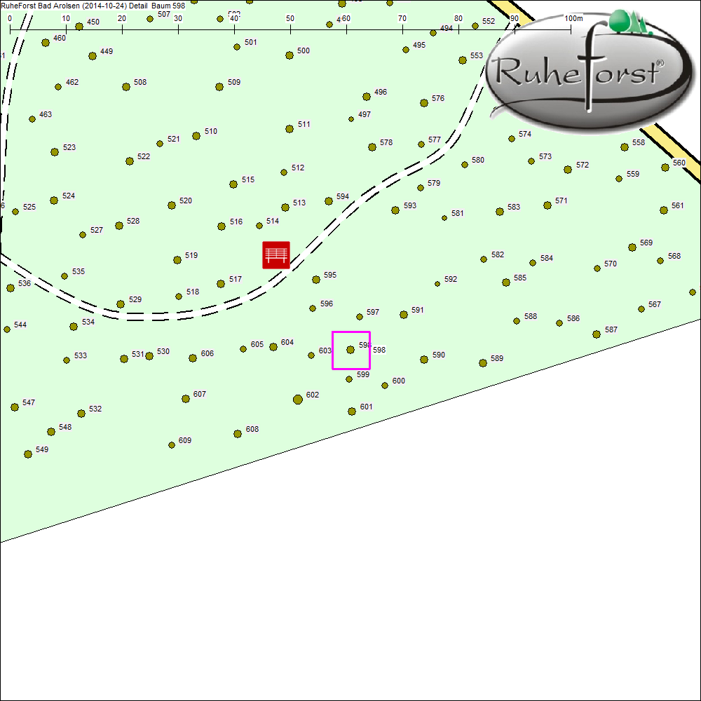 Detailkarte zu Baum 598
