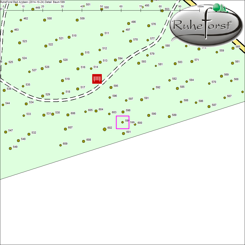 Detailkarte zu Baum 599