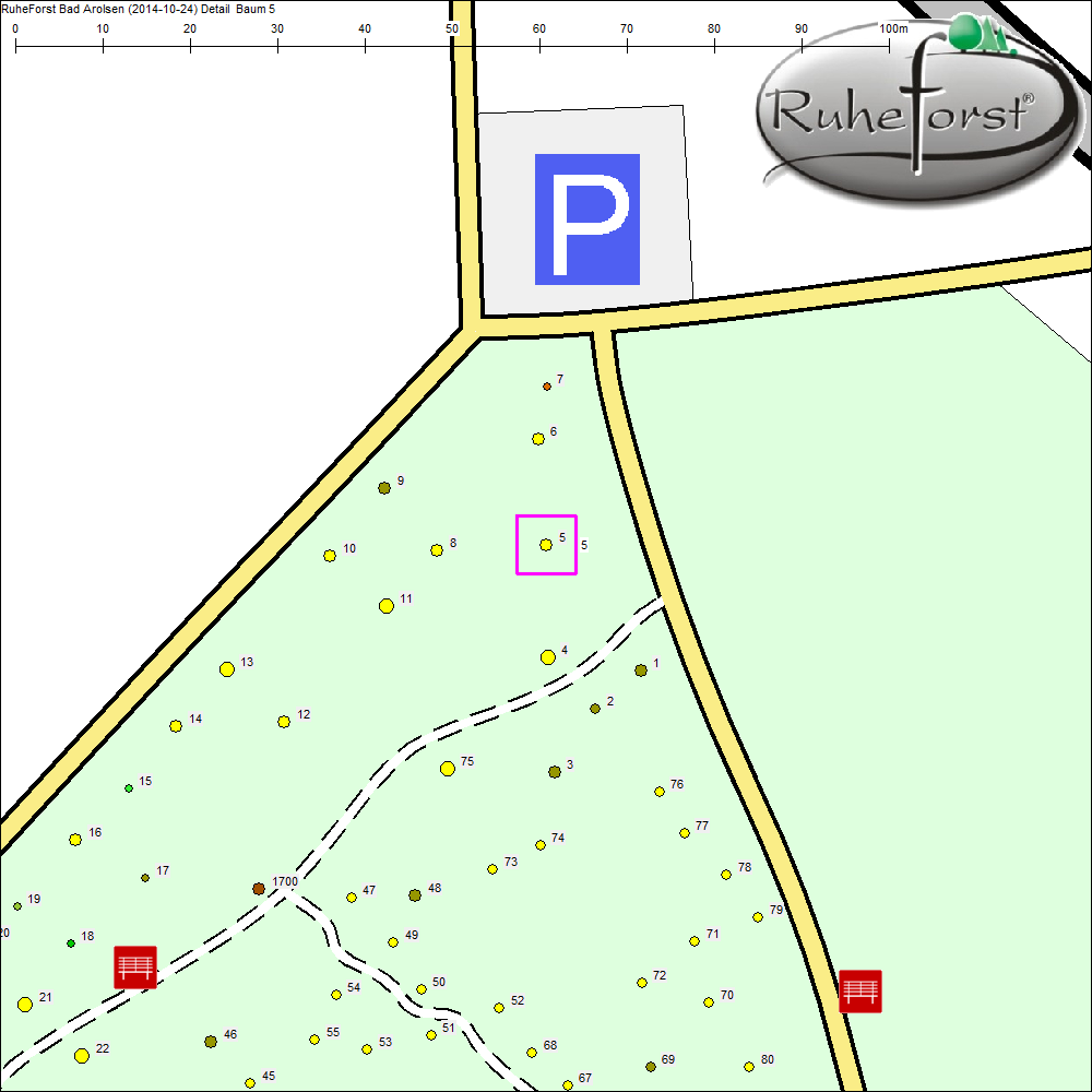 Detailkarte zu Baum 5
