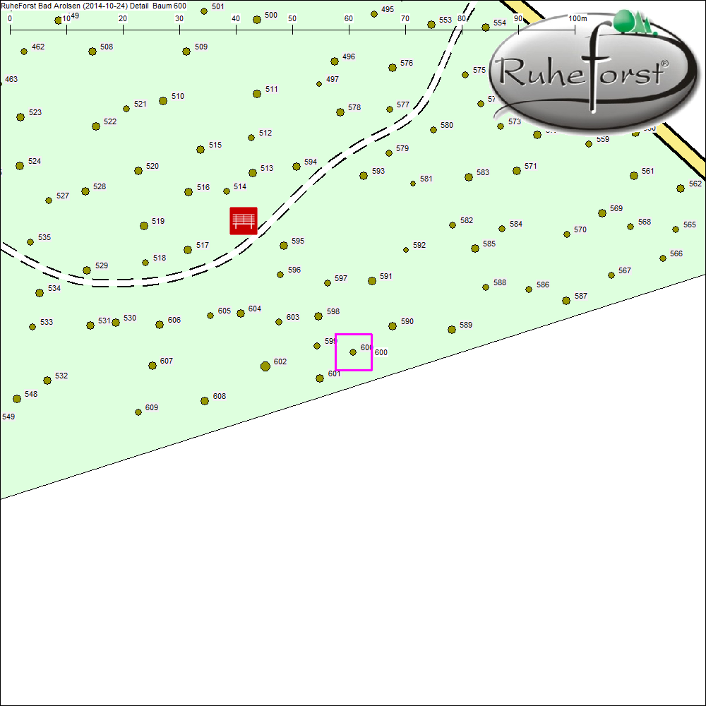 Detailkarte zu Baum 600