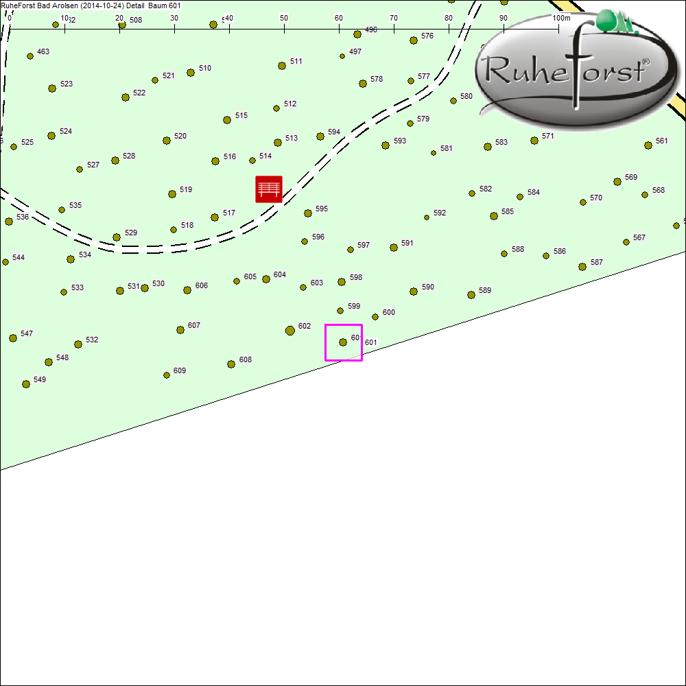 Detailkarte zu Baum 601