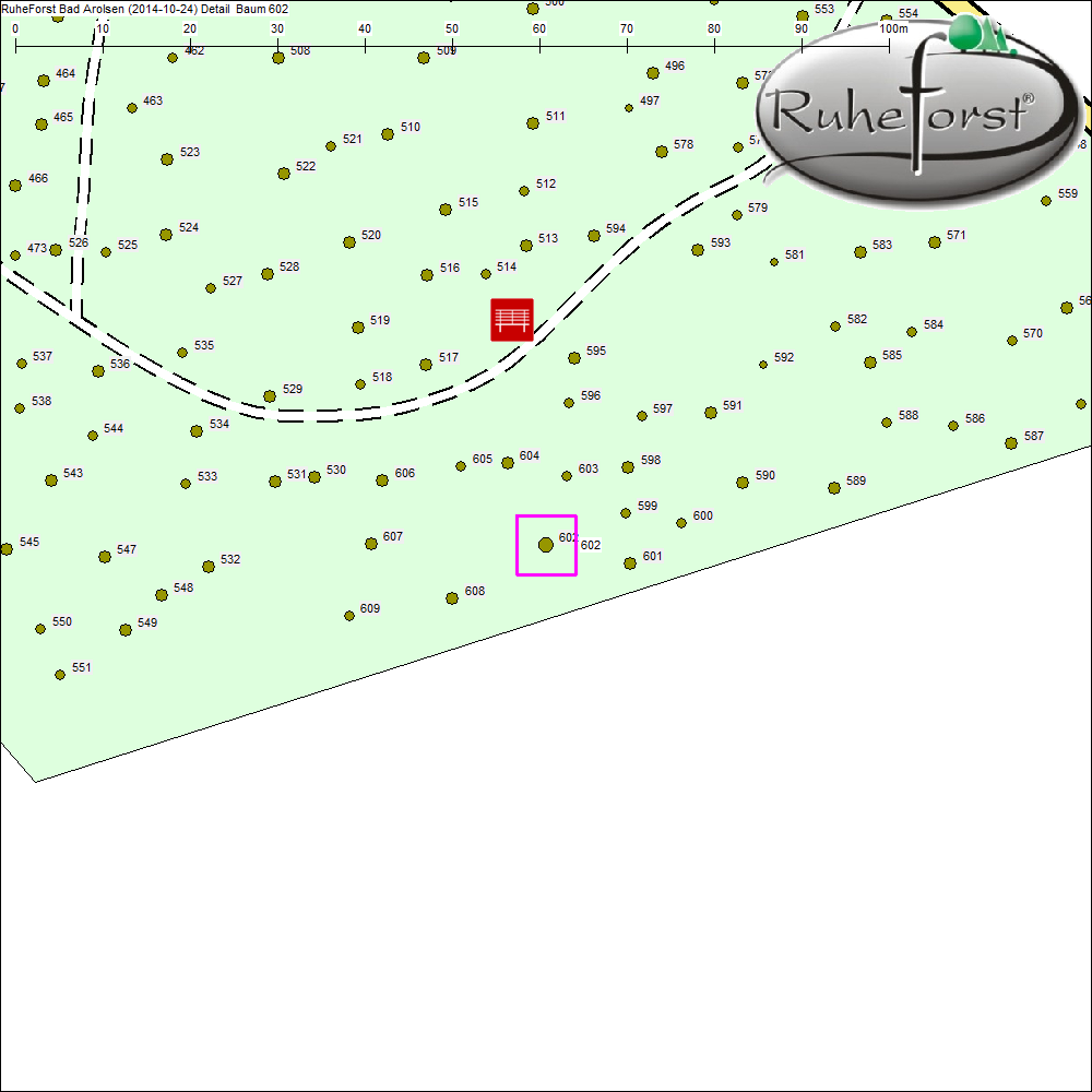 Detailkarte zu Baum 602