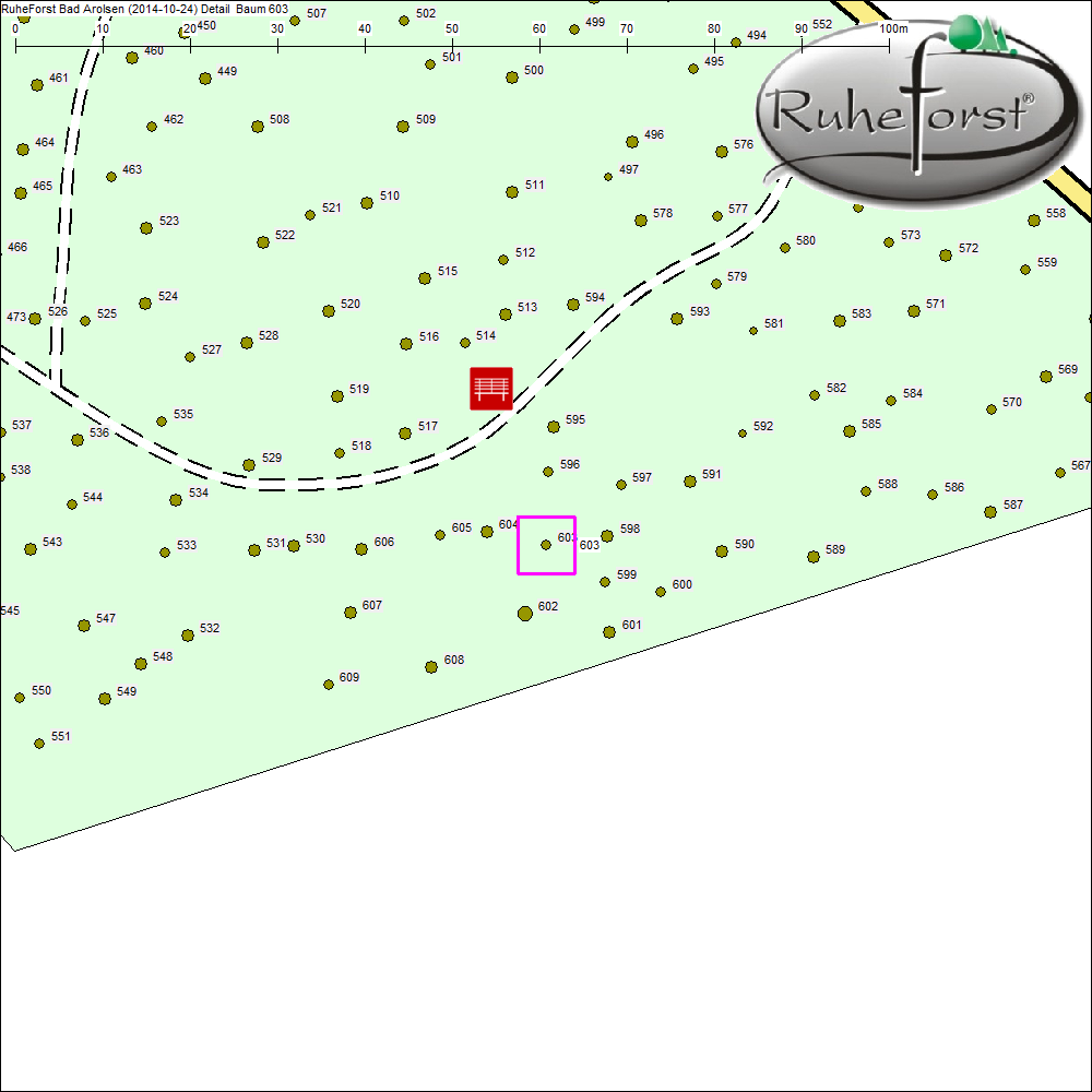 Detailkarte zu Baum 603