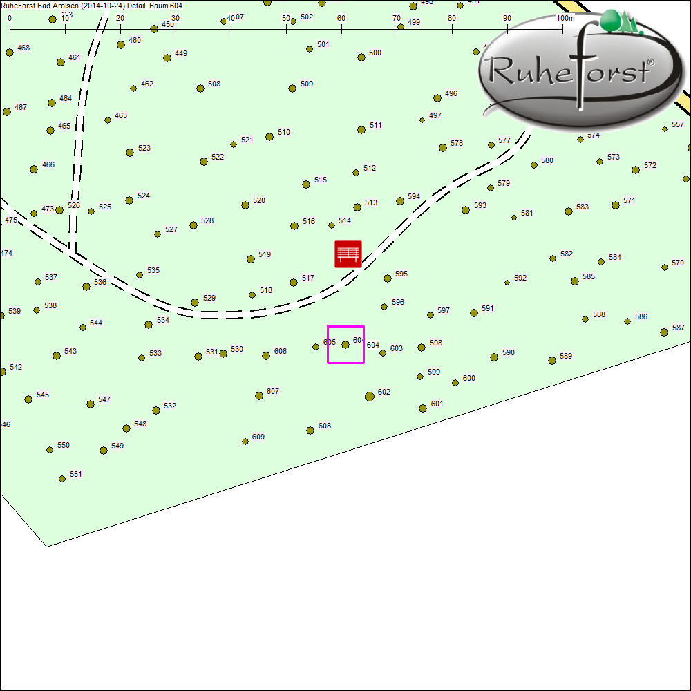 Detailkarte zu Baum 604