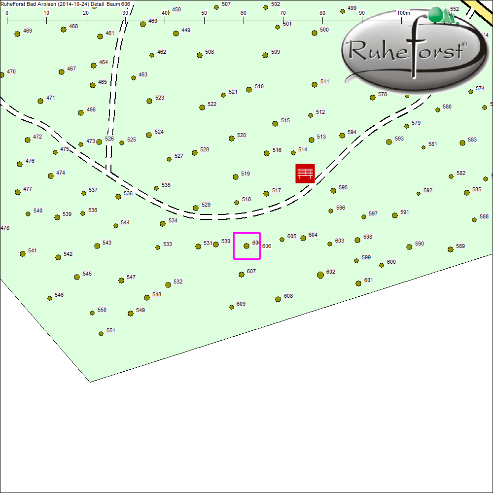 Detailkarte zu Baum 606