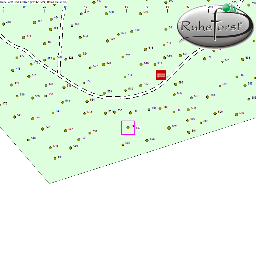 Detailkarte zu Baum 607