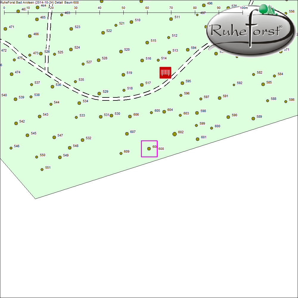 Detailkarte zu Baum 608