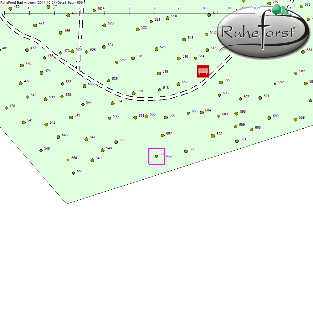Detailkarte zu Baum 609