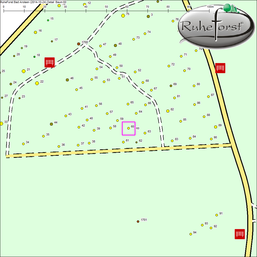 Detailkarte zu Baum 60