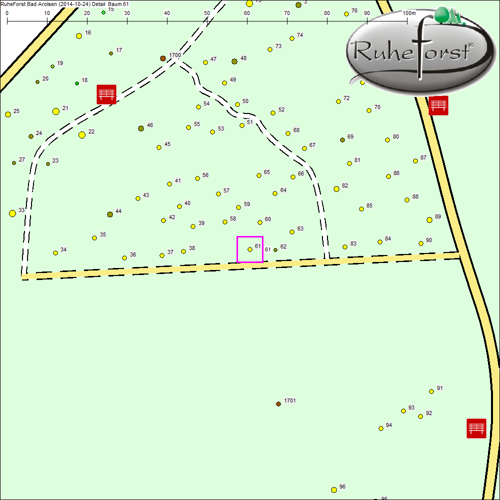 Detailkarte zu Baum 61
