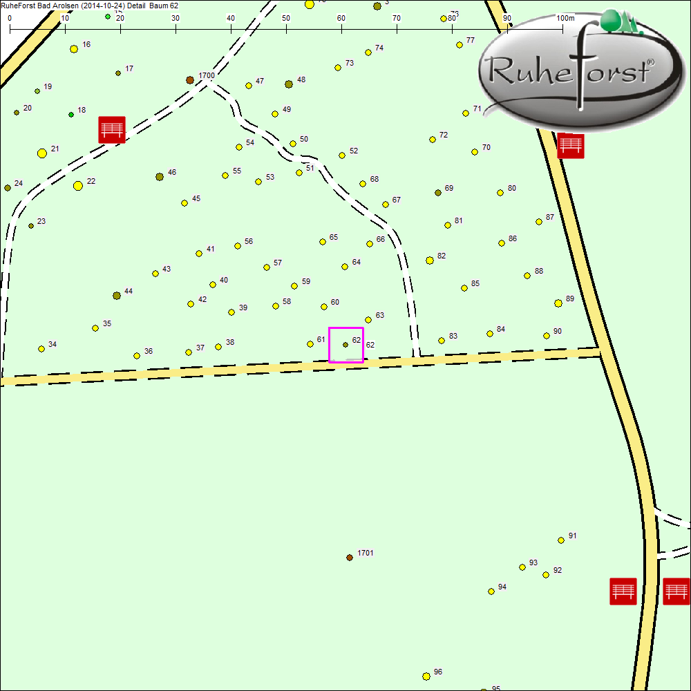 Detailkarte zu Baum 62