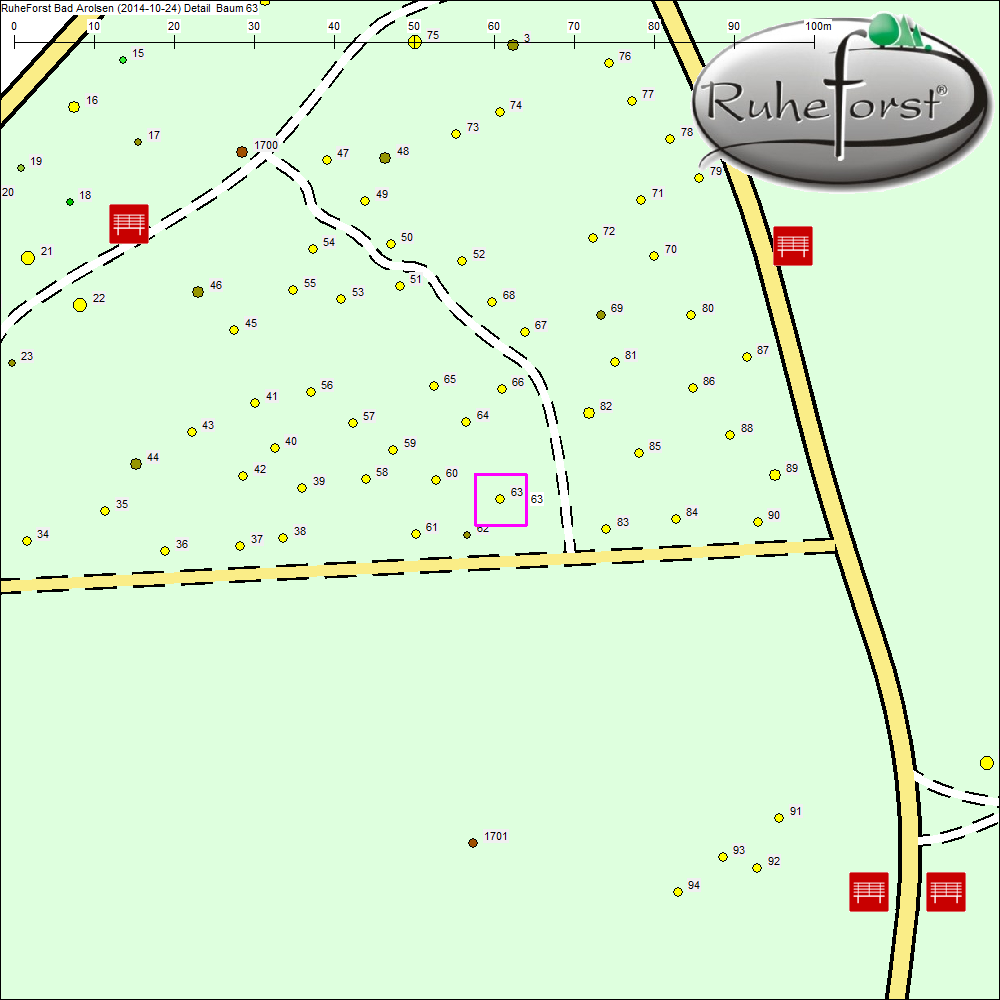 Detailkarte zu Baum 63