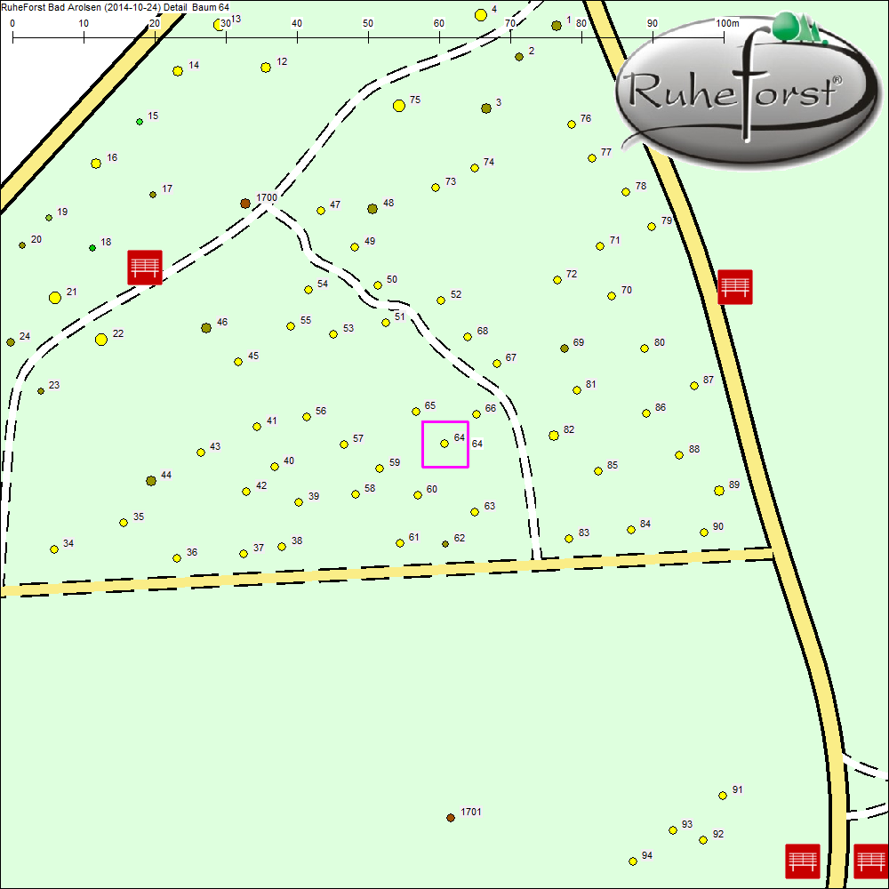 Detailkarte zu Baum 64