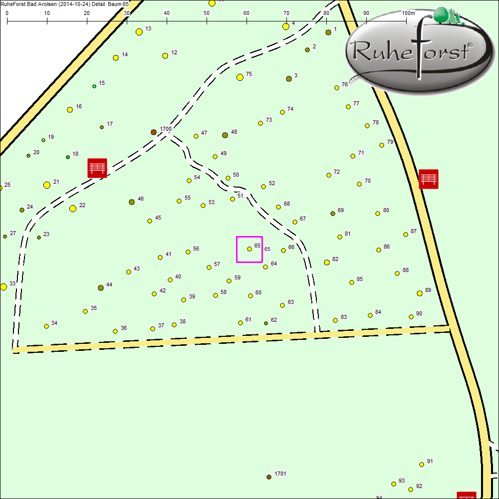 Detailkarte zu Baum 65