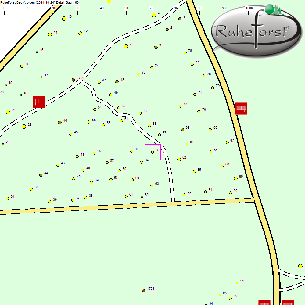 Detailkarte zu Baum 66
