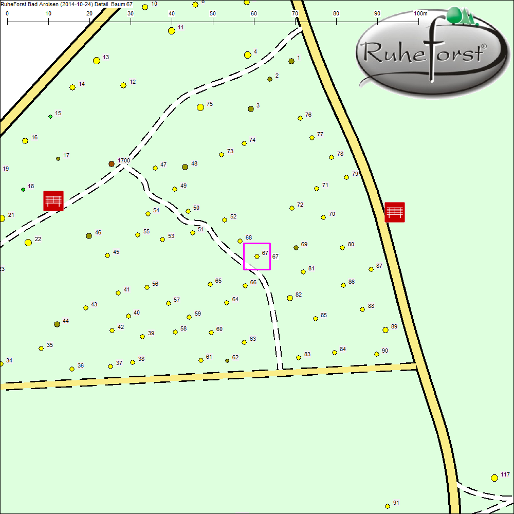 Detailkarte zu Baum 67