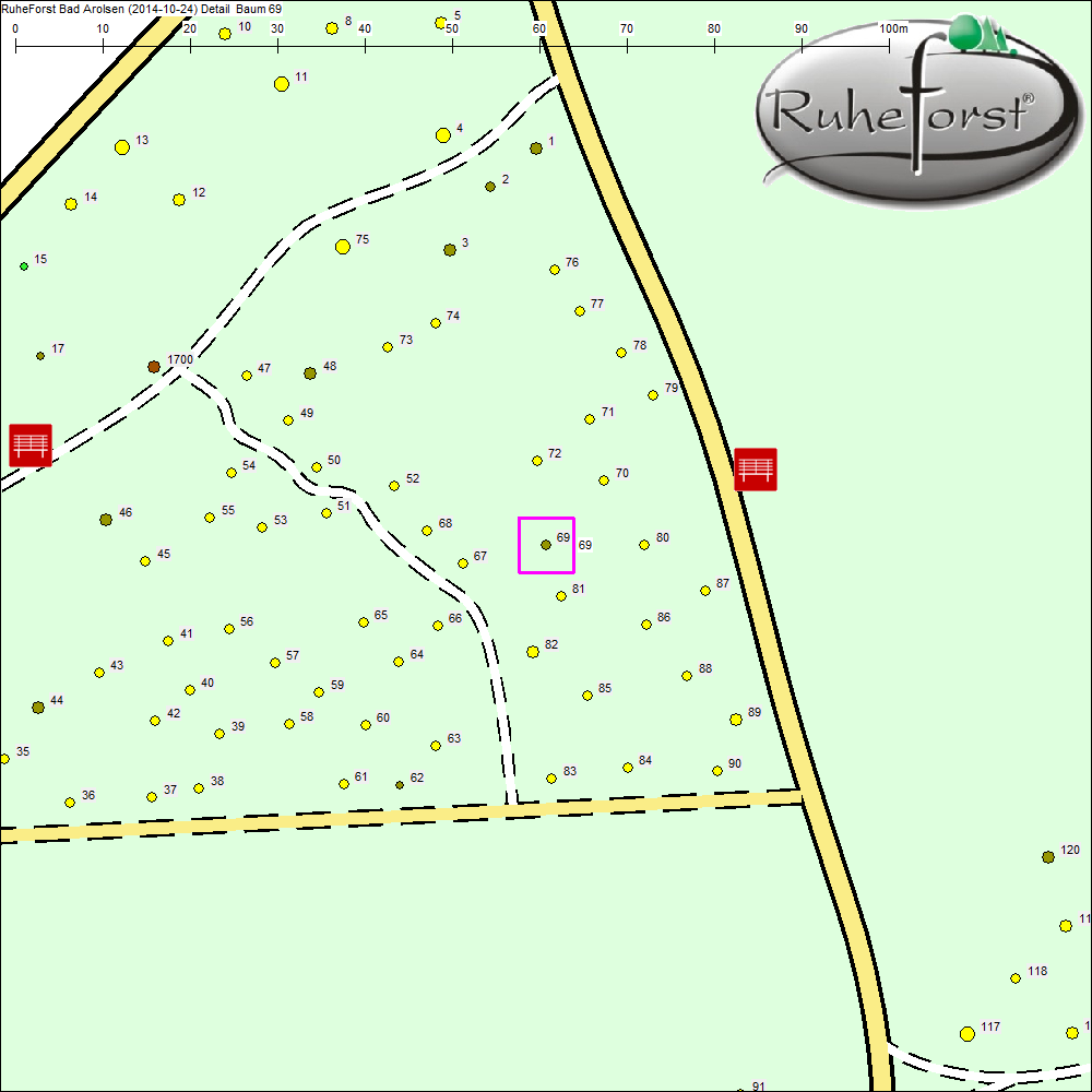 Detailkarte zu Baum 69