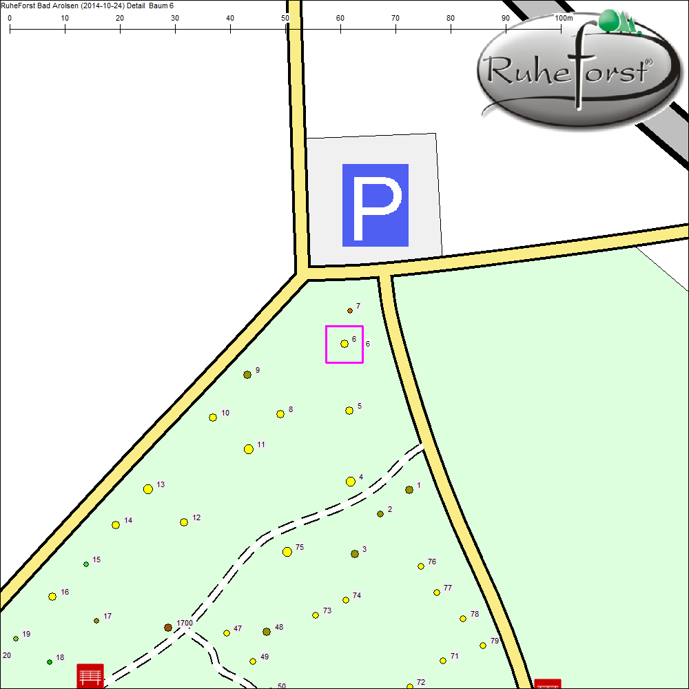 Detailkarte zu Baum 6
