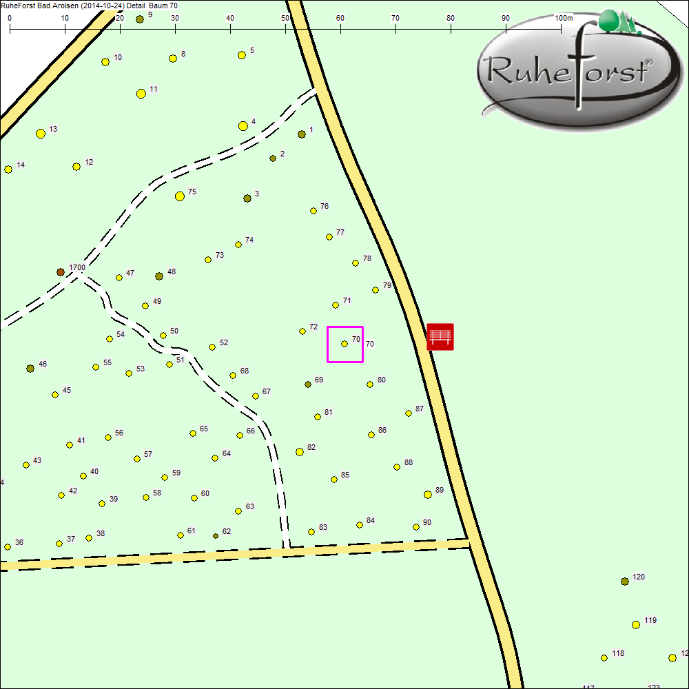 Detailkarte zu Baum 70