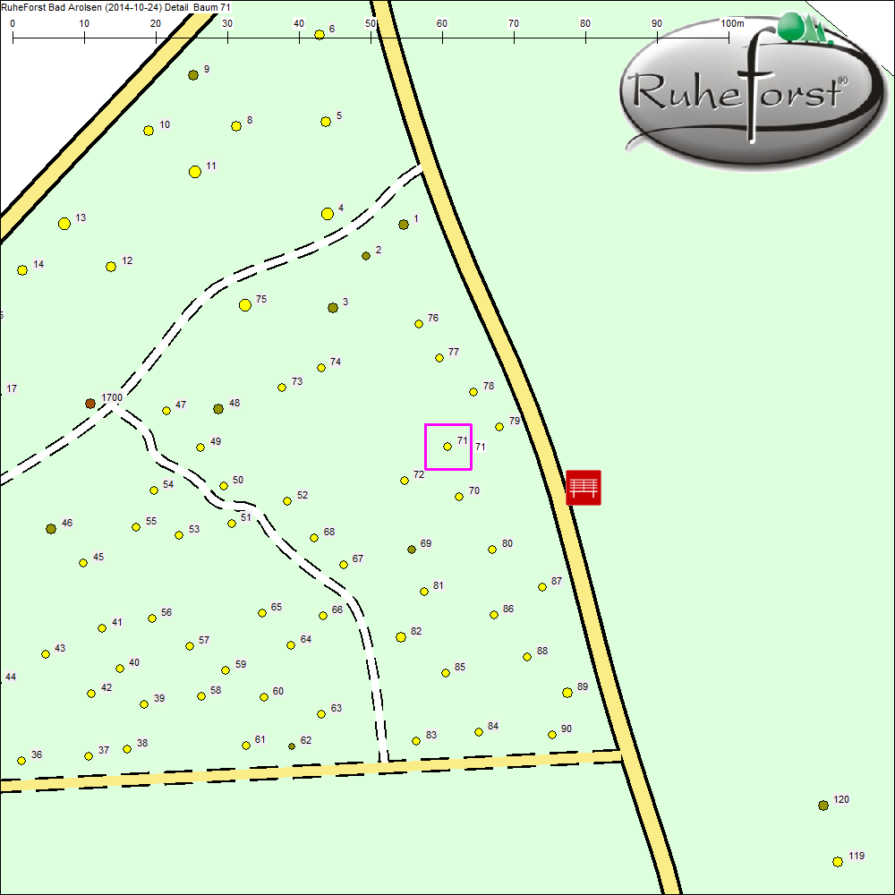 Detailkarte zu Baum 71