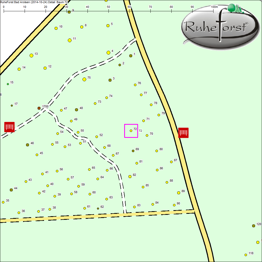 Detailkarte zu Baum 72