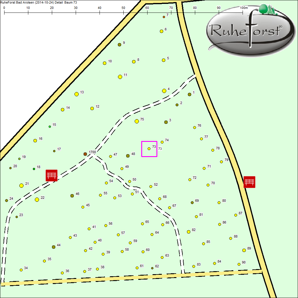 Detailkarte zu Baum 73
