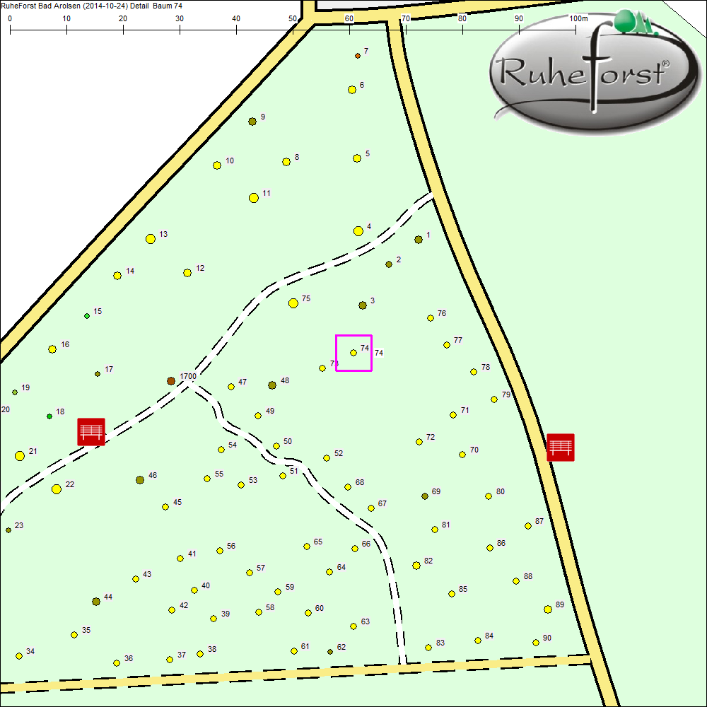 Detailkarte zu Baum 74