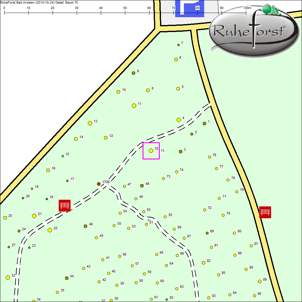 Detailkarte zu Baum 75