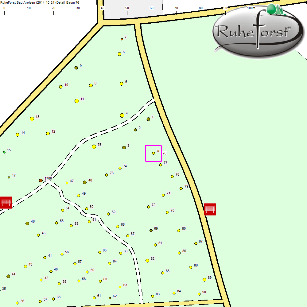 Detailkarte zu Baum 76
