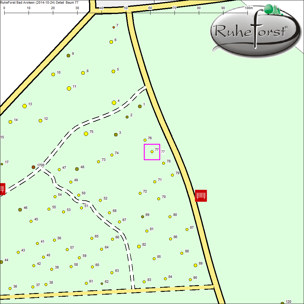 Detailkarte zu Baum 77