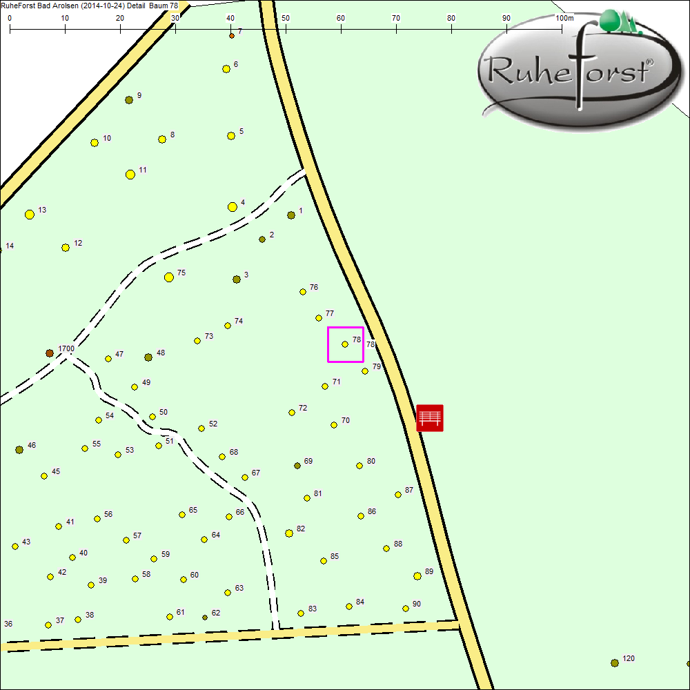 Detailkarte zu Baum 78
