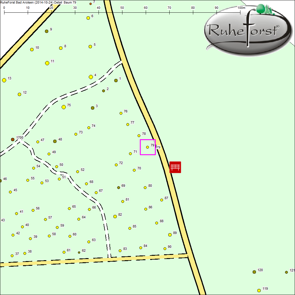 Detailkarte zu Baum 79