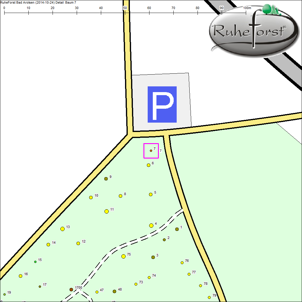 Detailkarte zu Baum 7