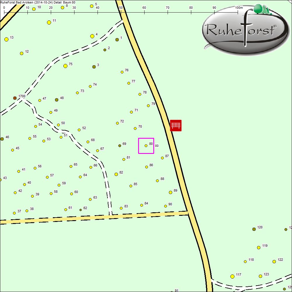 Detailkarte zu Baum 80