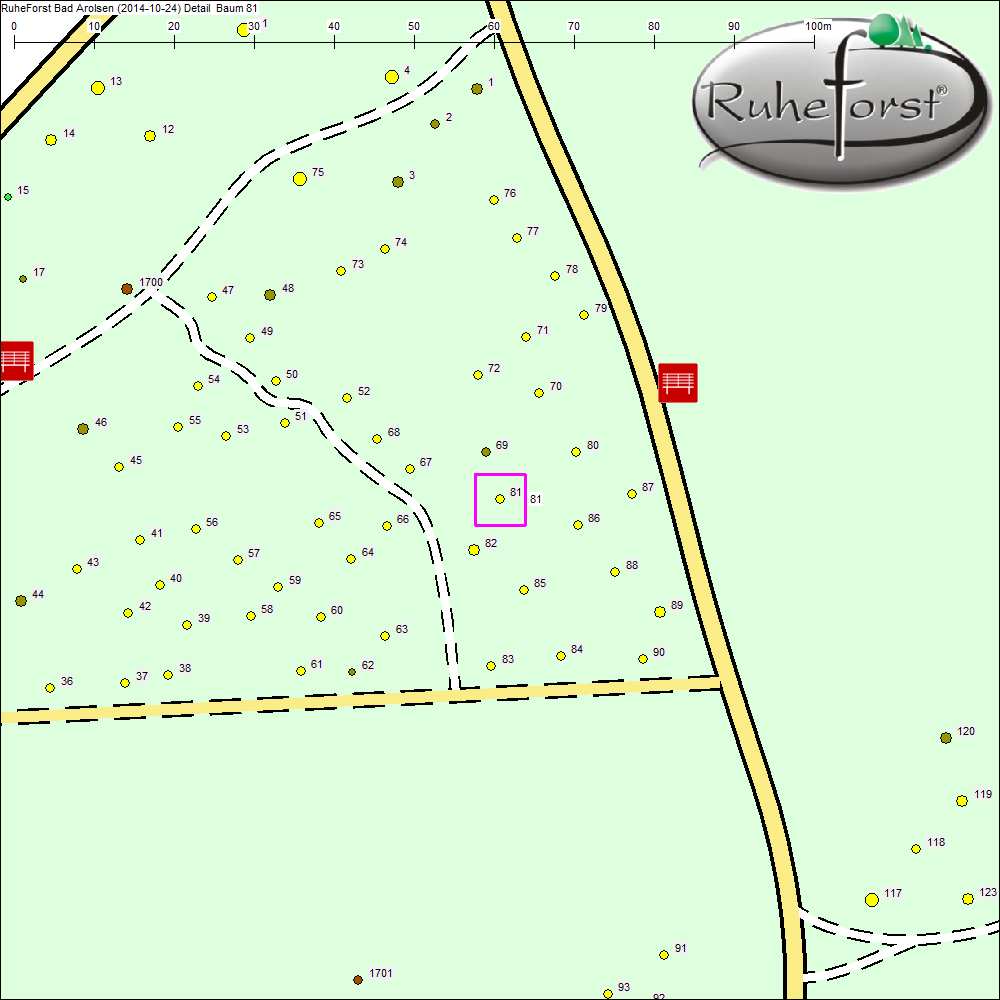 Detailkarte zu Baum 81