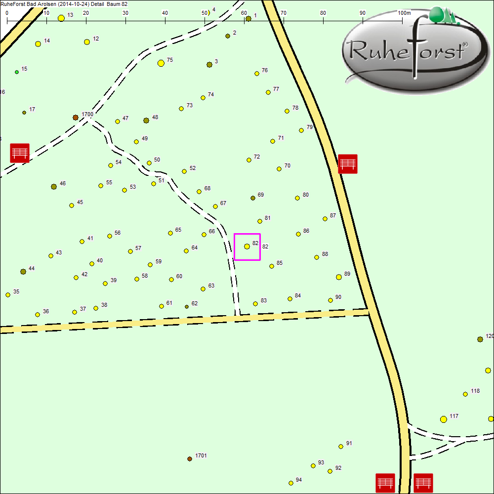 Detailkarte zu Baum 82