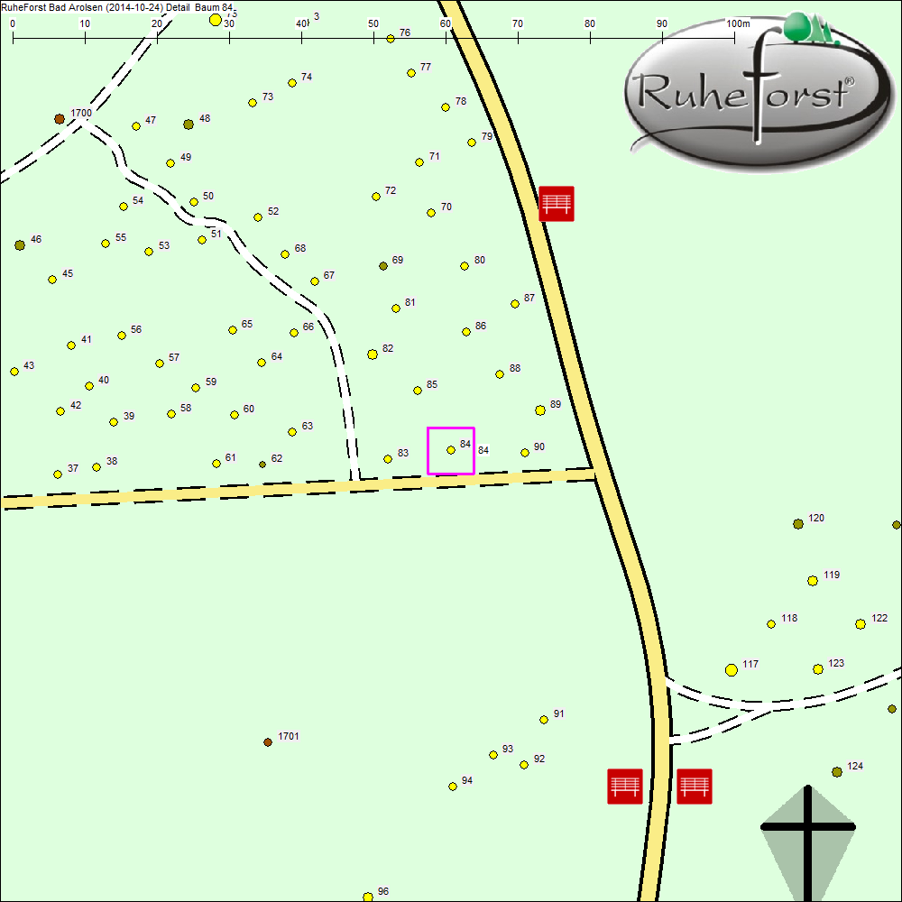 Detailkarte zu Baum 84