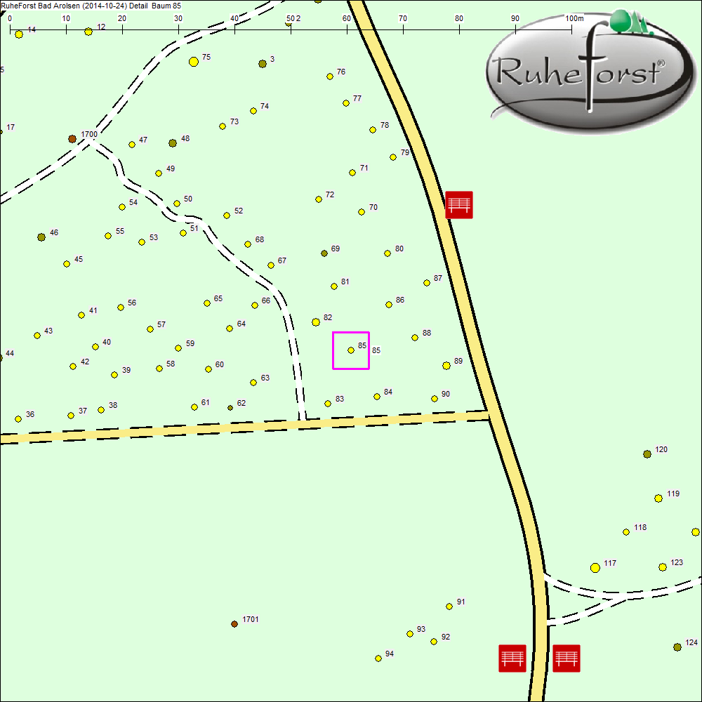 Detailkarte zu Baum 85