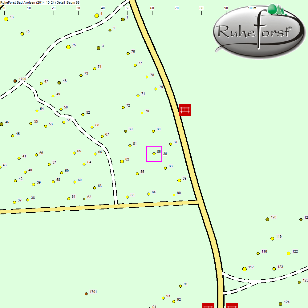 Detailkarte zu Baum 86
