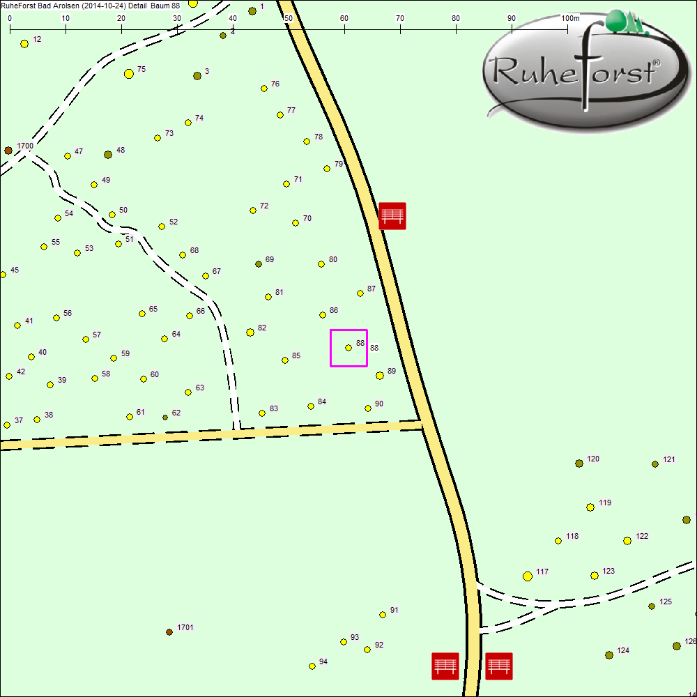 Detailkarte zu Baum 88