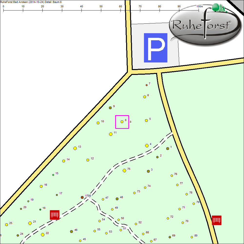 Detailkarte zu Baum 8