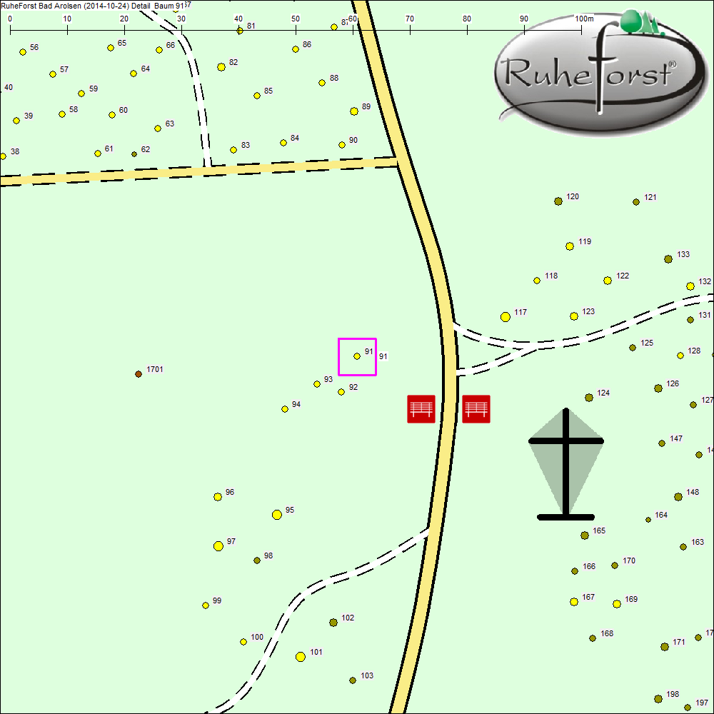 Detailkarte zu Baum 91