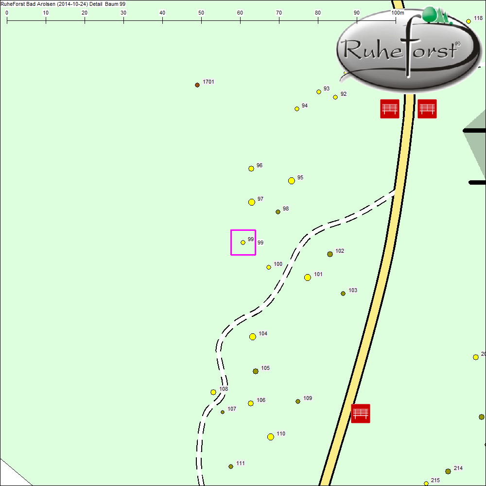 Detailkarte zu Baum 99