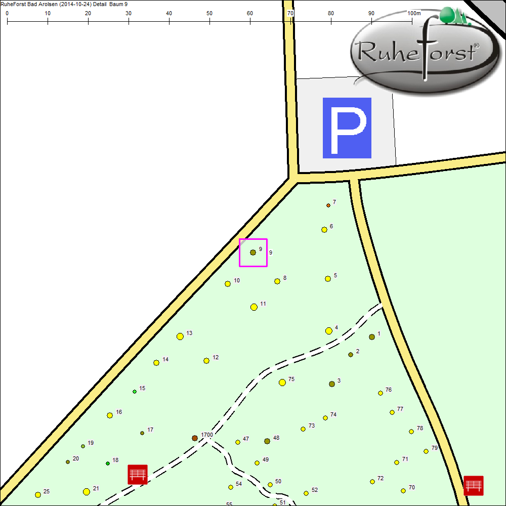 Detailkarte zu Baum 9